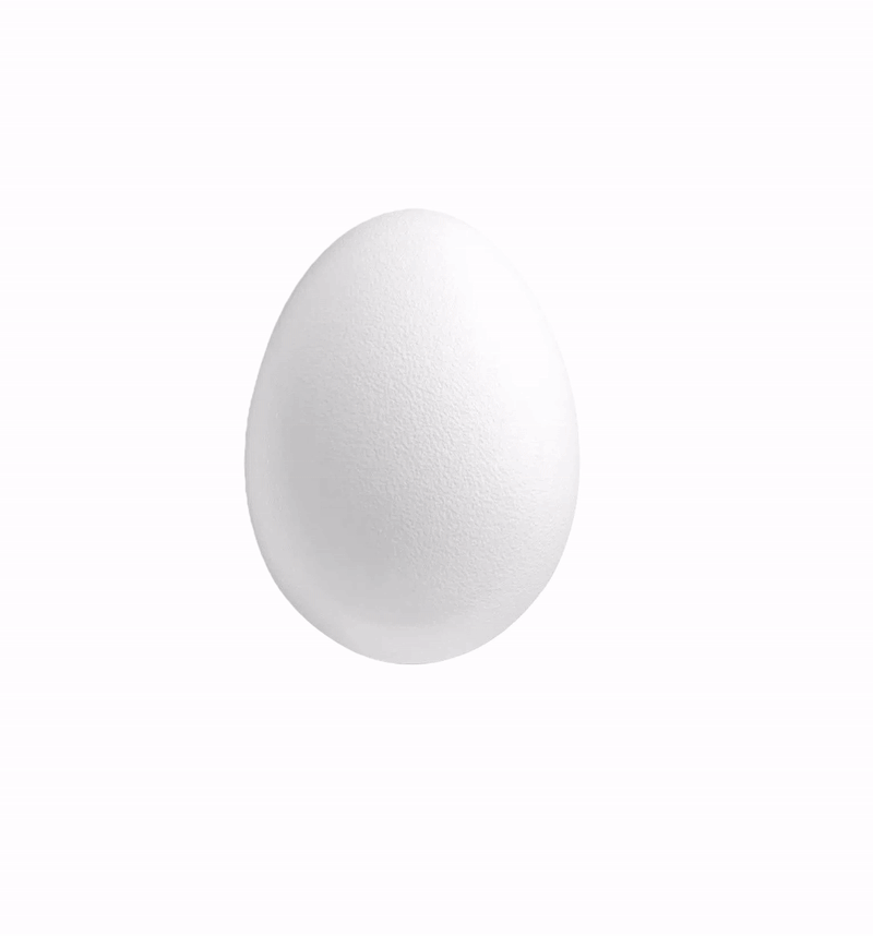 Egg rotating to reveal Eggtein quality